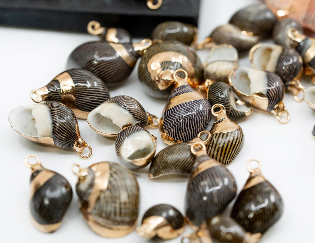 Spiral Shells: Zebra Gold Electroplated Spiral Shells for Jewelry Making, Sold by Each, Natural Seashell Charms, Jewelry Supplies