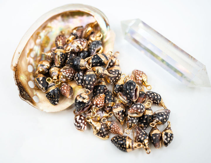 Spiral Shells: Gold Electroplated Spiral Speckled Dots Shells for Jewelry Making, Sold by Each, Natural Seashell Charms, Jewelry Supplies