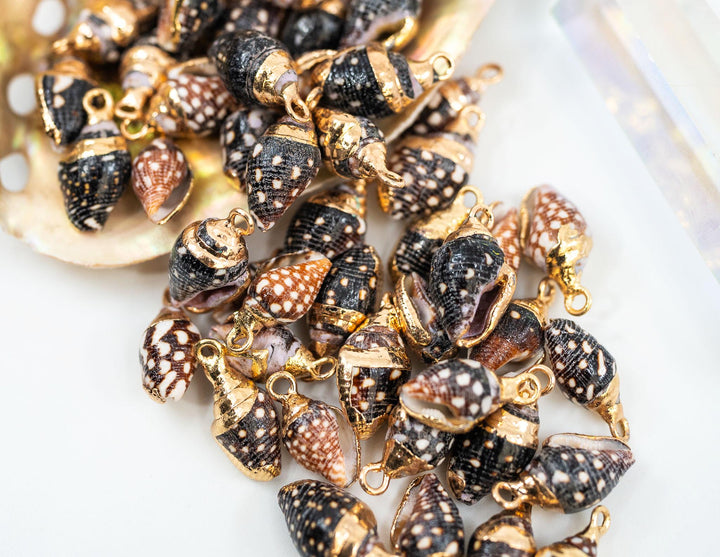Spiral Shells: Gold Electroplated Spiral Speckled Dots Shells for Jewelry Making, Sold by Each, Natural Seashell Charms, Jewelry Supplies