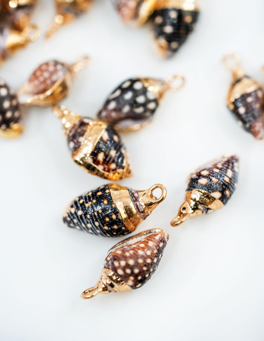 Spiral Shells: Gold Electroplated Spiral Speckled Dots Shells for Jewelry Making, Sold by Each, Natural Seashell Charms, Jewelry Supplies