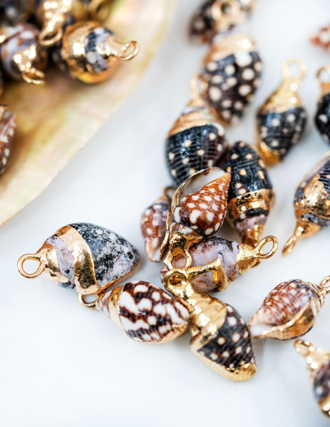 Spiral Shells: Gold Electroplated Spiral Speckled Dots Shells for Jewelry Making, Sold by Each, Natural Seashell Charms, Jewelry Supplies