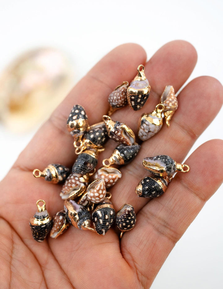 Spiral Shells: Gold Electroplated Spiral Speckled Dots Shells for Jewelry Making, Sold by Each, Natural Seashell Charms, Jewelry Supplies