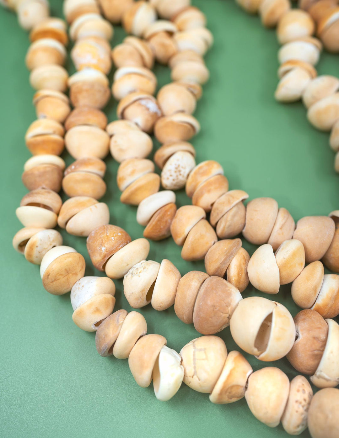 African Cone Shell Beads Necklace - 31 Inches, 80 plus beads | Unique Hand-Drilled Light Brown Shell Beads, African Conus Shells, Seashells