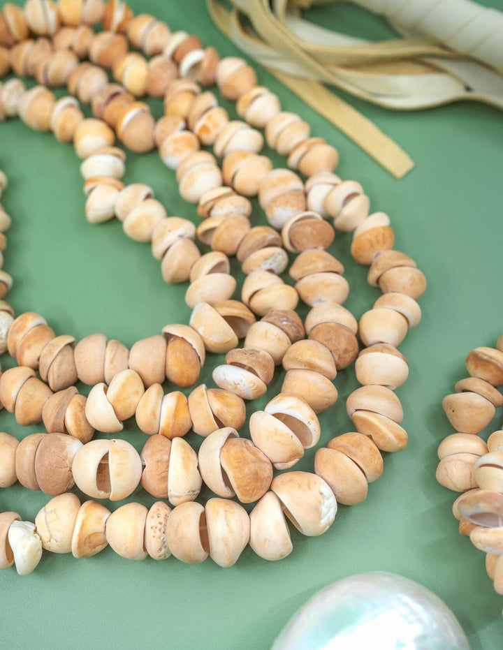 African Cone Shell Beads Necklace - 31 Inches, 80 plus beads | Unique Hand-Drilled Light Brown Shell Beads, African Seashells