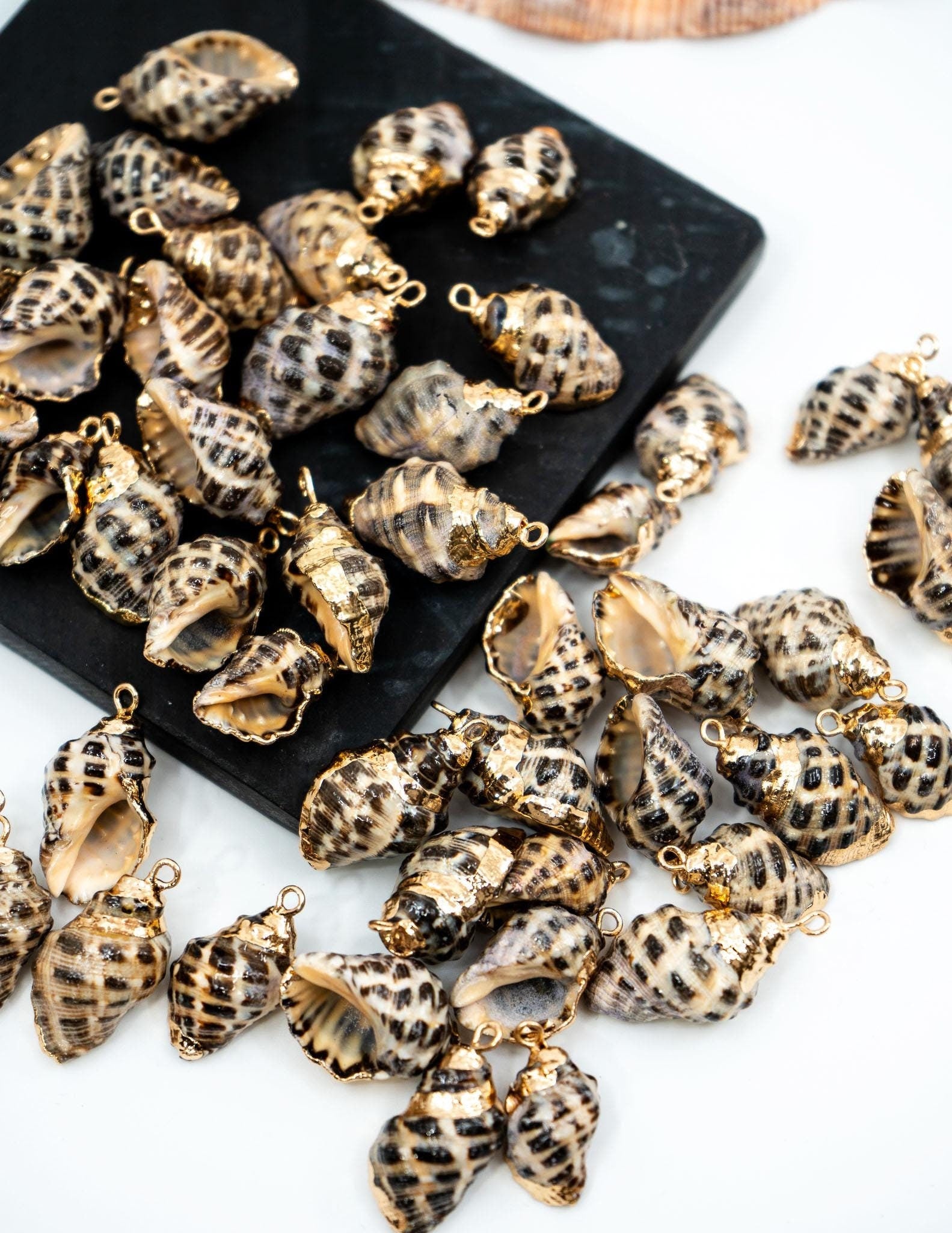 Spiral Shells: Gold Electroplated Spiral Speckled Shells for Jewelry M ...