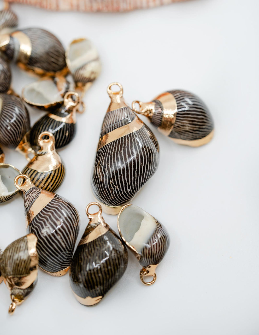 Spiral Shells: Zebra Gold Electroplated Spiral Shells for Jewelry Making, Sold by Each, Natural Seashell Charms, Jewelry Supplies