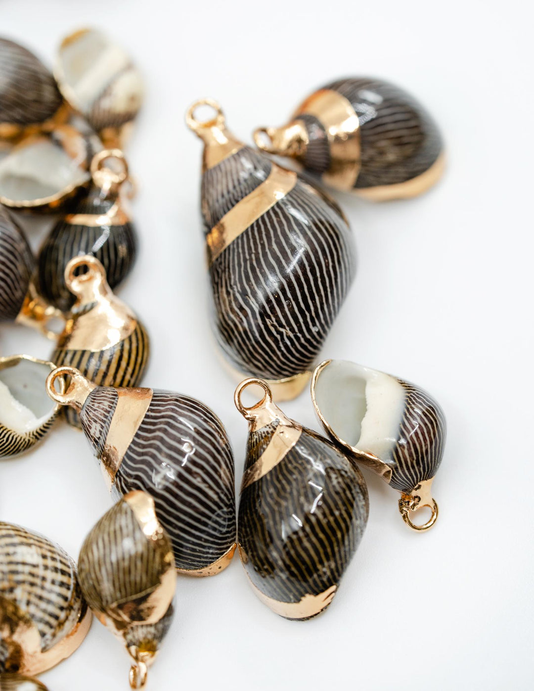 Spiral Shells: Zebra Gold Electroplated Spiral Shells for Jewelry Making, Sold by Each, Natural Seashell Charms, Jewelry Supplies