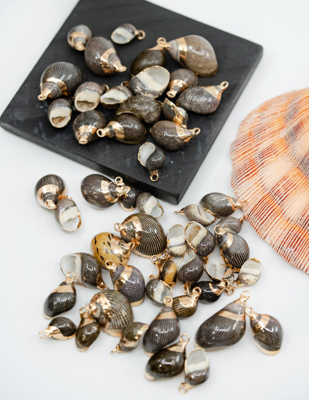 Spiral Shells: Zebra Gold Electroplated Spiral Shells for Jewelry Making, Sold by Each, Natural Seashell Charms, Jewelry Supplies