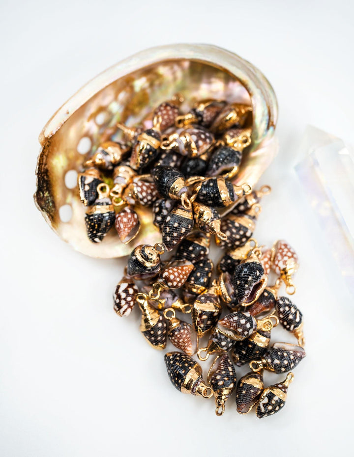 Spiral Shells: Gold Electroplated Spiral Speckled Dots Shells for Jewelry Making, Sold by Each, Natural Seashell Charms, Jewelry Supplies