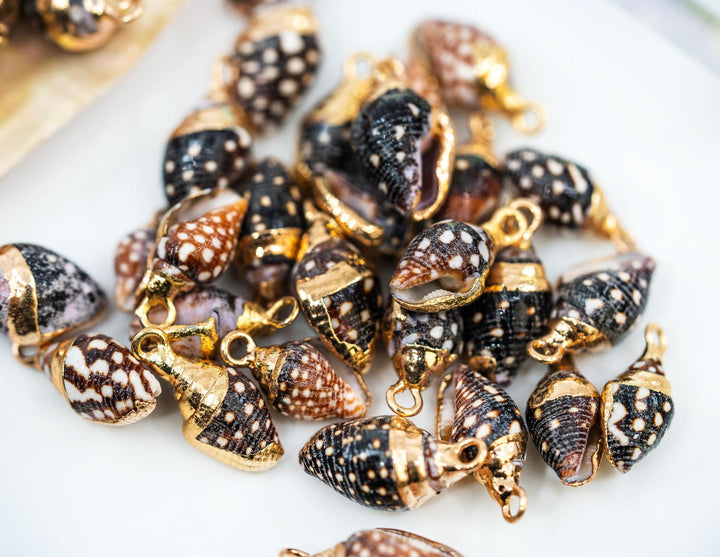 Spiral Shells: Gold Electroplated Spiral Speckled Dots Shells for Jewelry Making, Sold by Each, Natural Seashell Charms, Jewelry Supplies