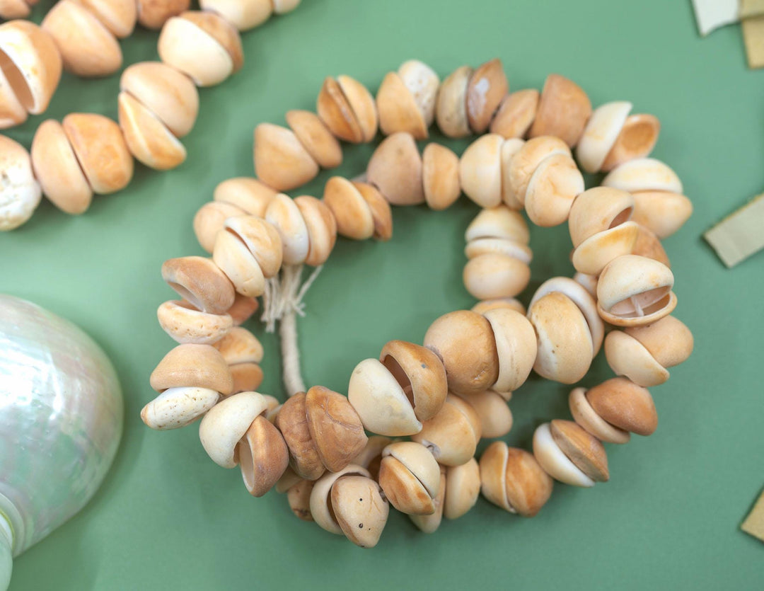 African Cone Shell Beads Necklace - 31 Inches, 80 plus beads | Unique Hand-Drilled Light Brown Shell Beads, African Conus Shells, Seashells