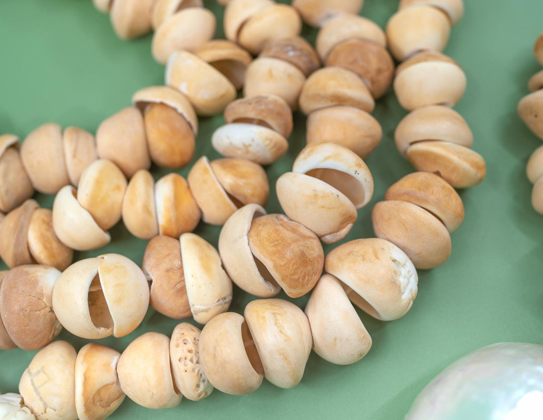 African Cone Shell Beads Necklace - 31 Inches, 80 plus beads | Unique Hand-Drilled Light Brown Shell Beads, African Conus Shells, Seashells
