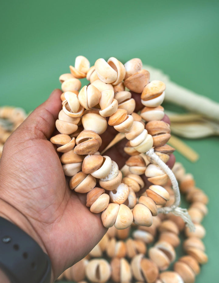 African Cone Shell Beads Necklace - 31 Inches, 80 plus beads | Unique Hand-Drilled Light Brown Shell Beads, African Seashells
