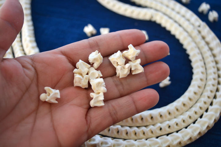 The Brianna Long Necklace: Long Snake Vertebrae Necklace in White, Real Snake Vertebrae, 7-12mm, 35" plus, 90-100 beads, Tribal Jewelry