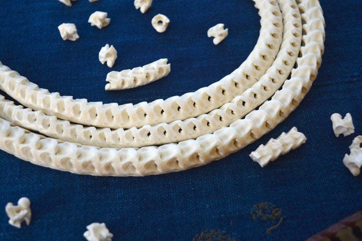 The Brianna Long Necklace: Long Snake Vertebrae Necklace in White, Real Snake Vertebrae, 7-12mm, 35" plus, 90-100 beads, Tribal Jewelry