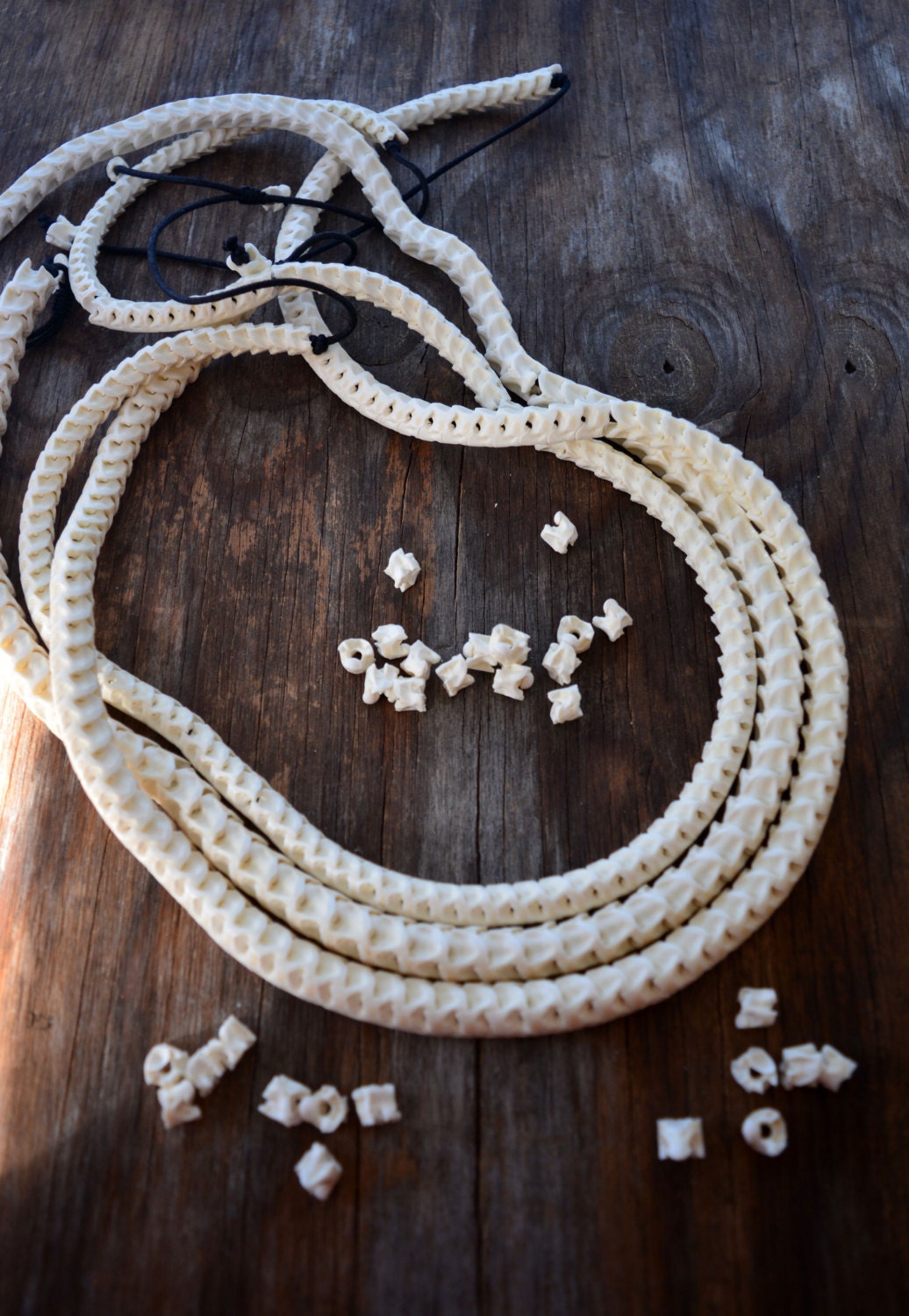Real White Snake Vertebrae, Natural Bone Beads, 10 loose beads, 7-12mm, Tribal, Bohemian, Juju, Oddities, Jewelry Supplies