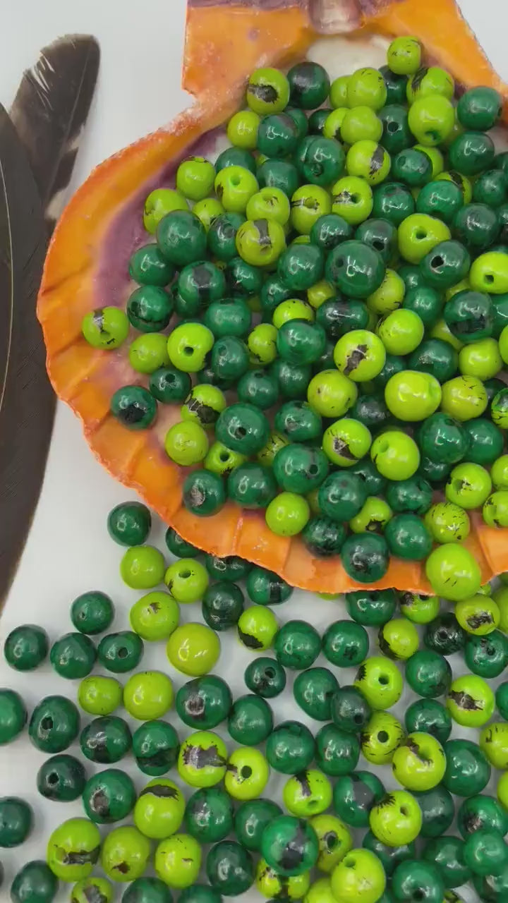 Acai Beads natural beads video showing the seeds details for jewelry making.