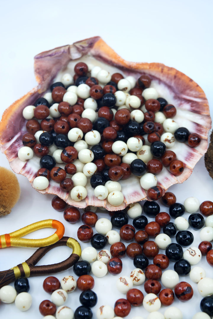 Cookies and Cream Acai Beads Mix | Brown, Black and White display in a seashells.