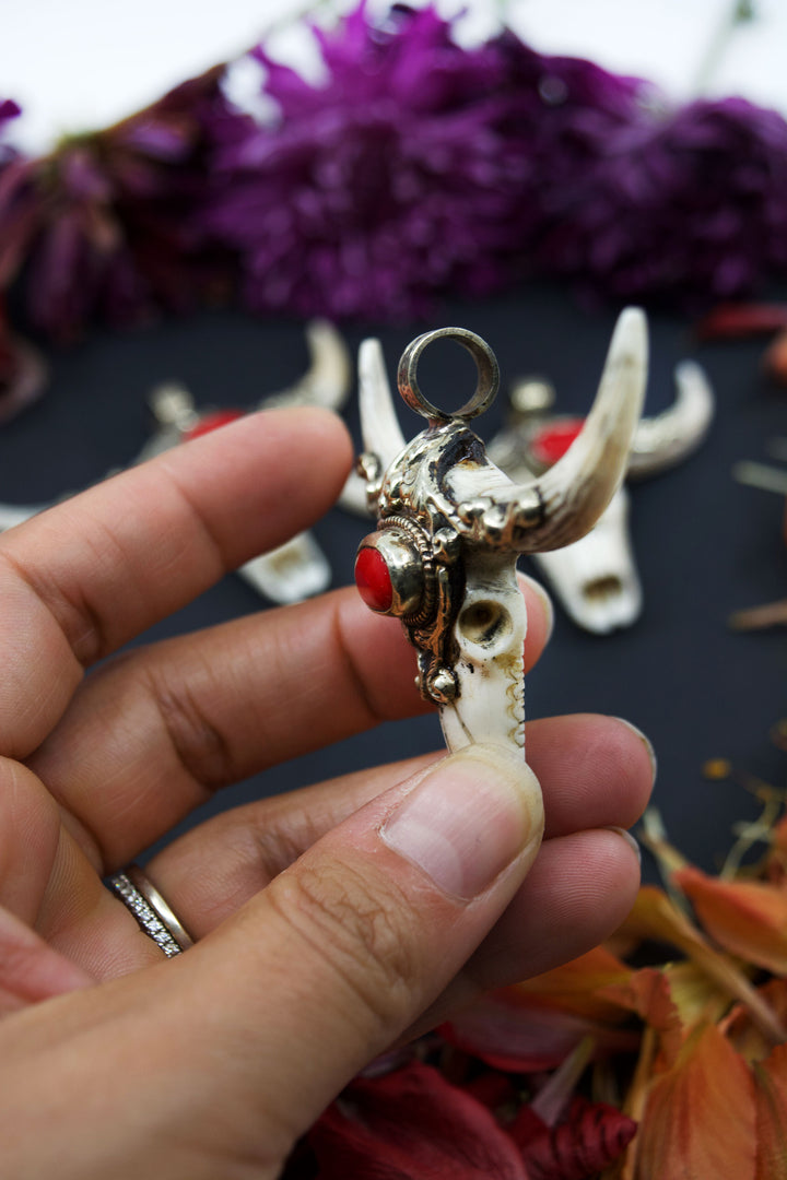 Third Eye: REC Large Bull Skull Pendant with Red Coral Center Stone, 3" wide