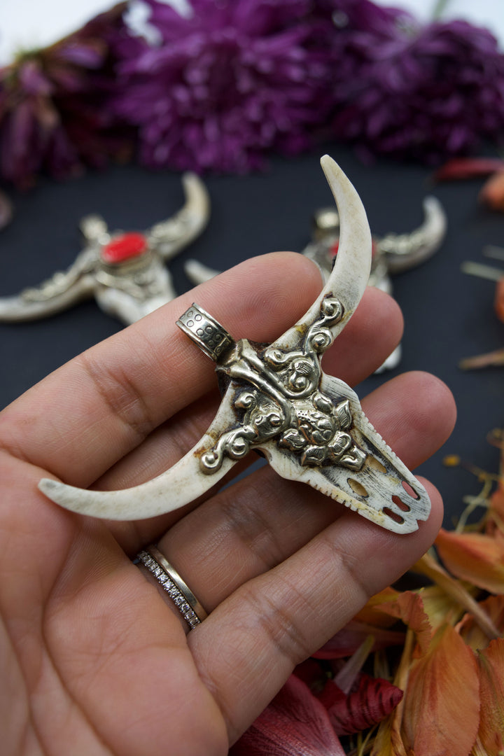 Third Eye: REC Large Bull Skull Pendant with Red Coral Center Stone, 3" wide