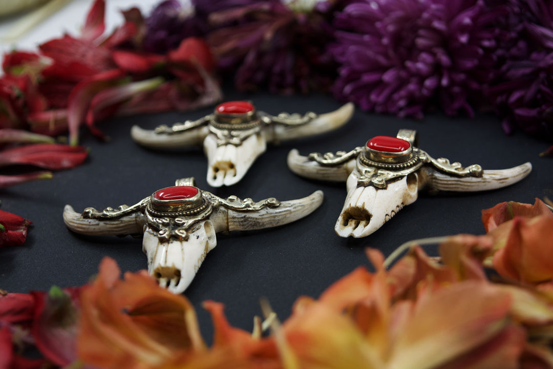 Third Eye: REC Large Bull Skull Pendant with Red Coral Center Stone, 3" wide