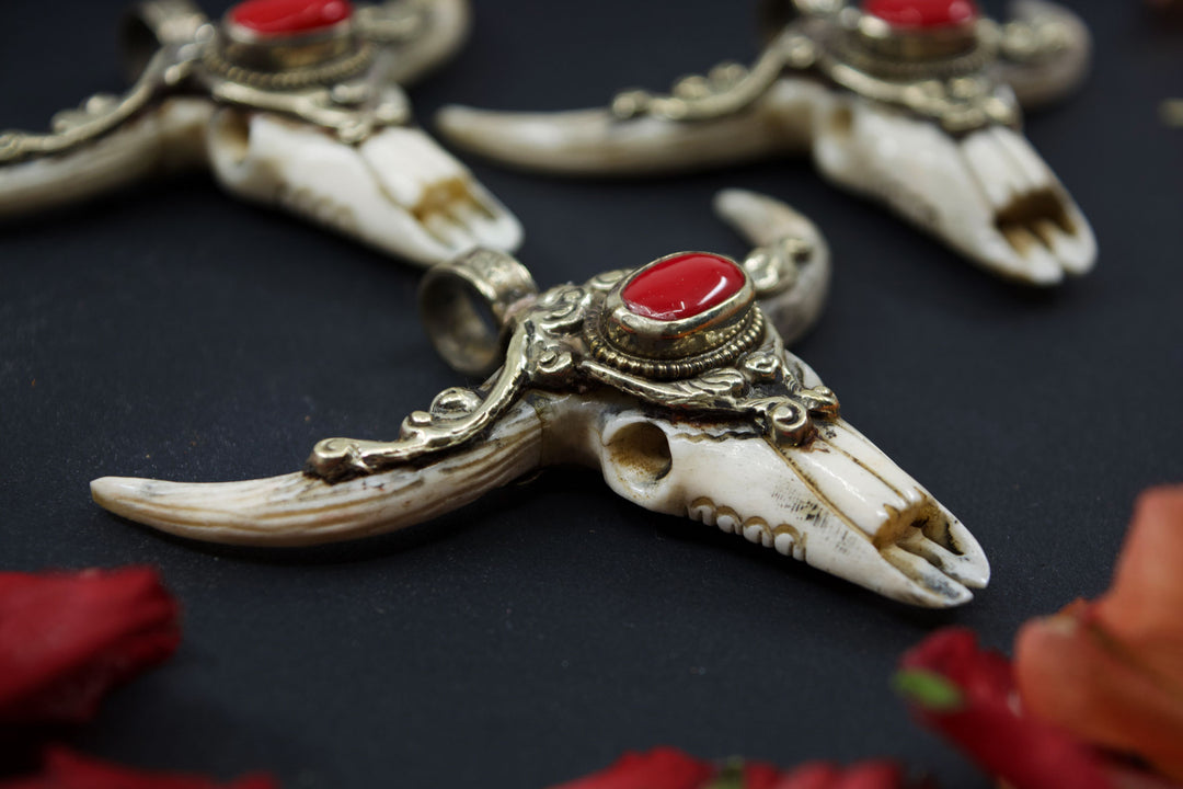 Third Eye: REC Large Bull Skull Pendant with Red Coral Center Stone, 3" wide