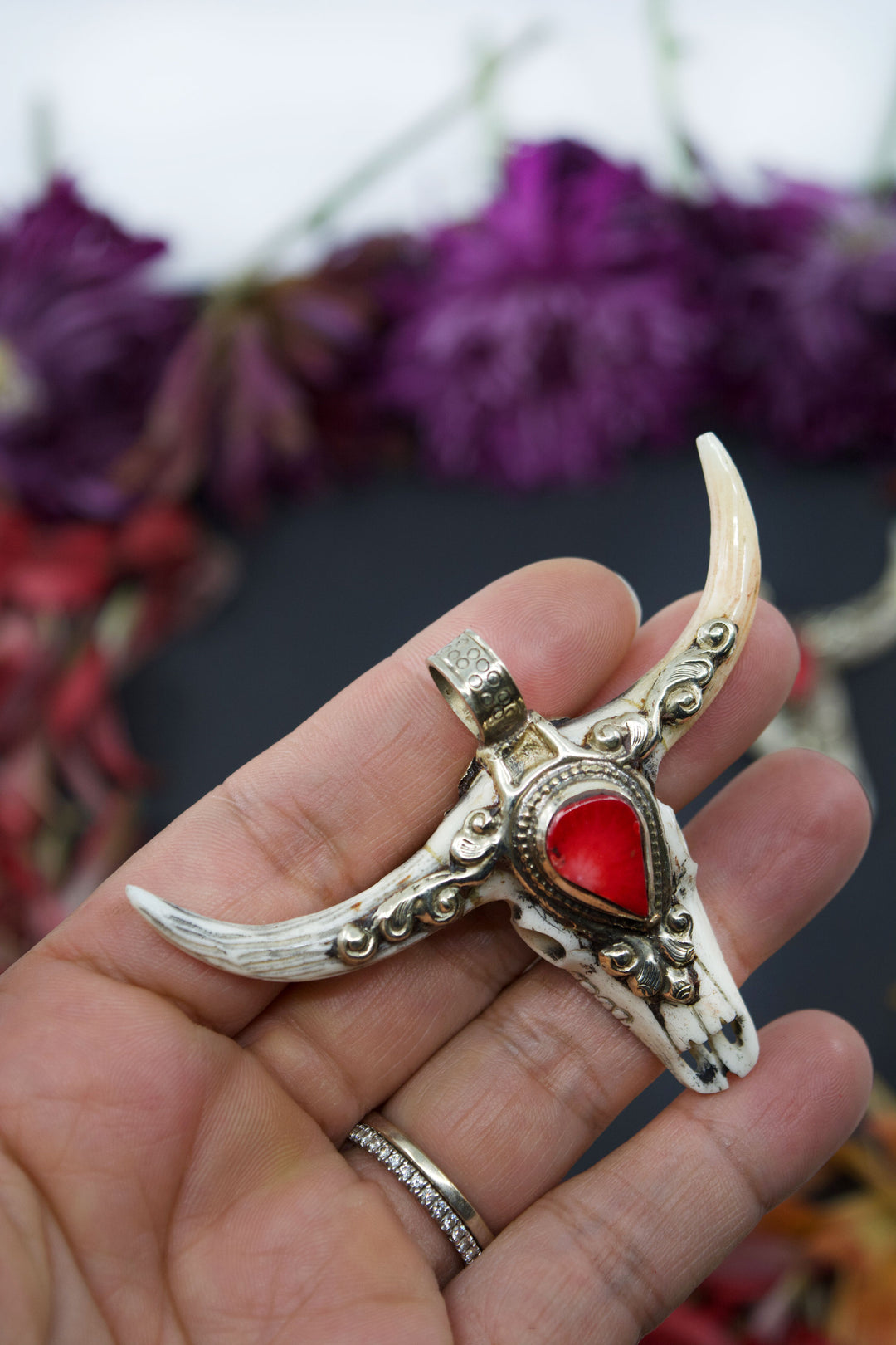 Third Eye: RACHEL Large Bull Skull Pendant with Red Coral Center Stone, 3" wide