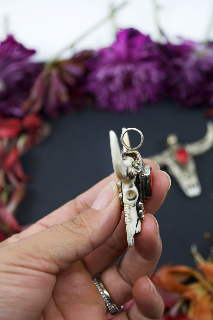 Third Eye: RACHEL Large Bull Skull Pendant with Red Coral Center Stone, 3" wide