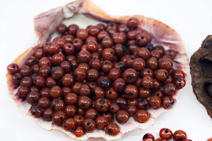 Chocolate Brown Acai Beads displayed in a shell showing the natural black marking of the seeds.
