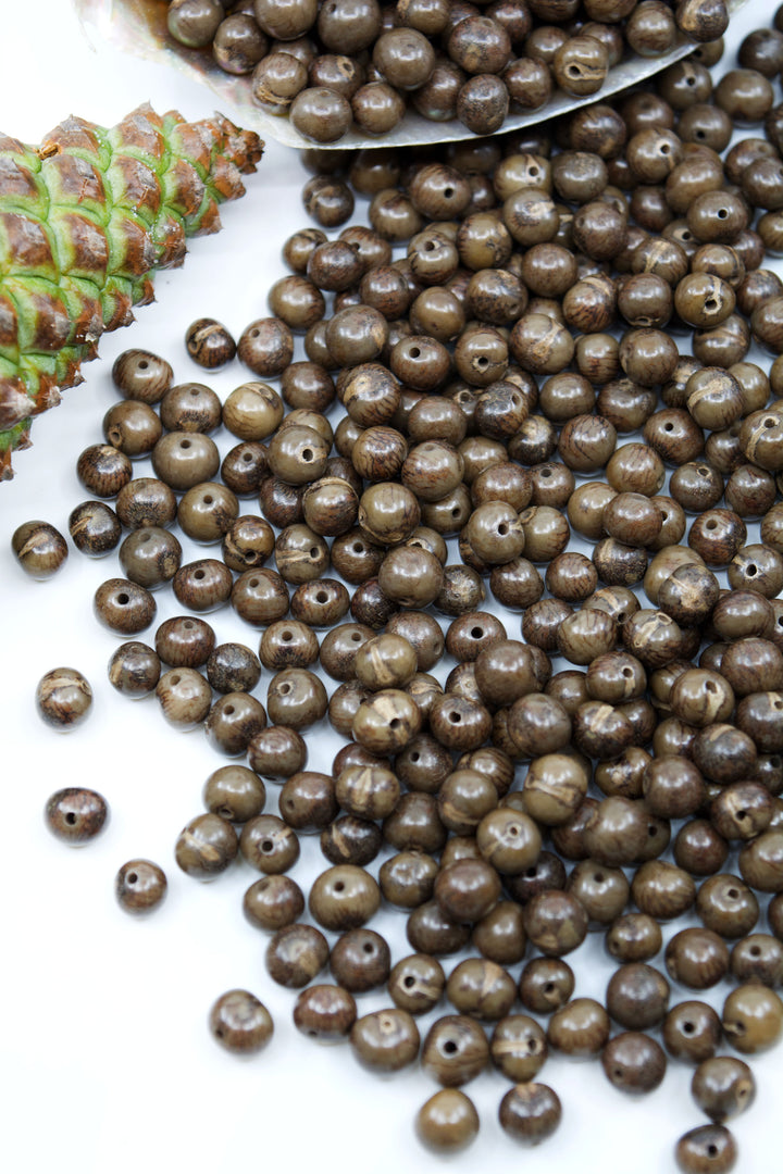 Brown Acai beads display on a white background showing the size of the beads.