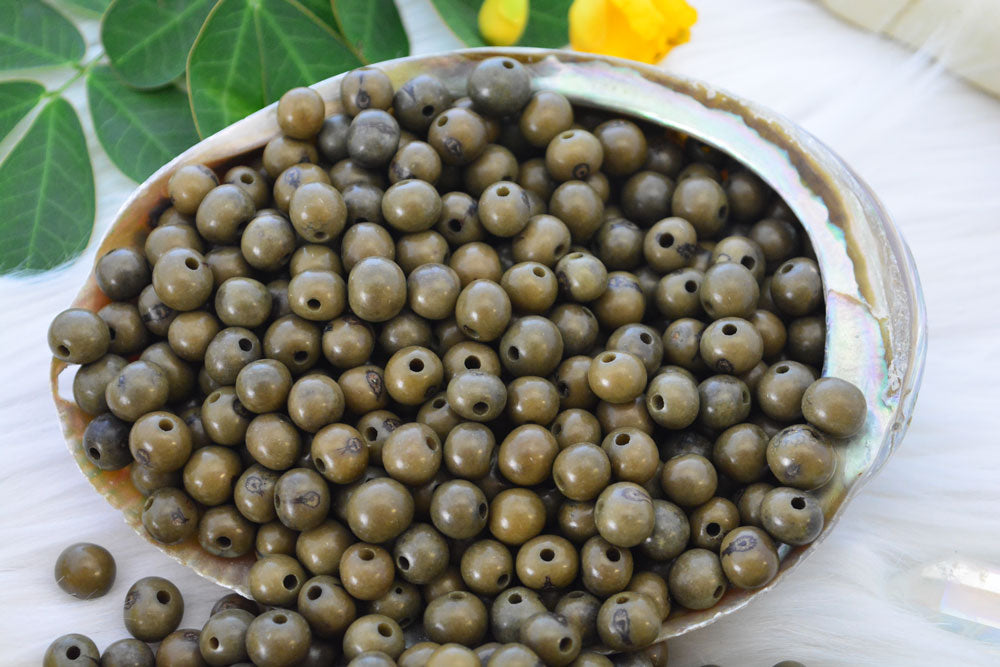 Dark Olive GreennAcai Beads natural beads for jewelry making.