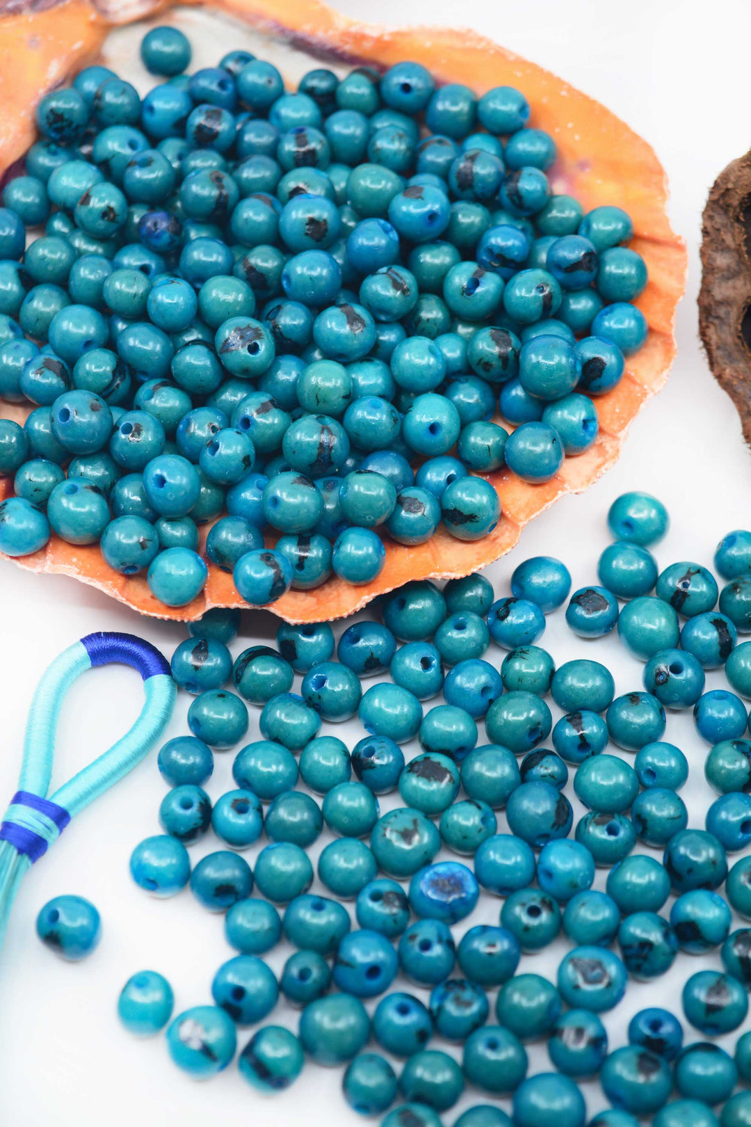 Deep Turquoise Blue Acai Beads displayed in a seashell.
