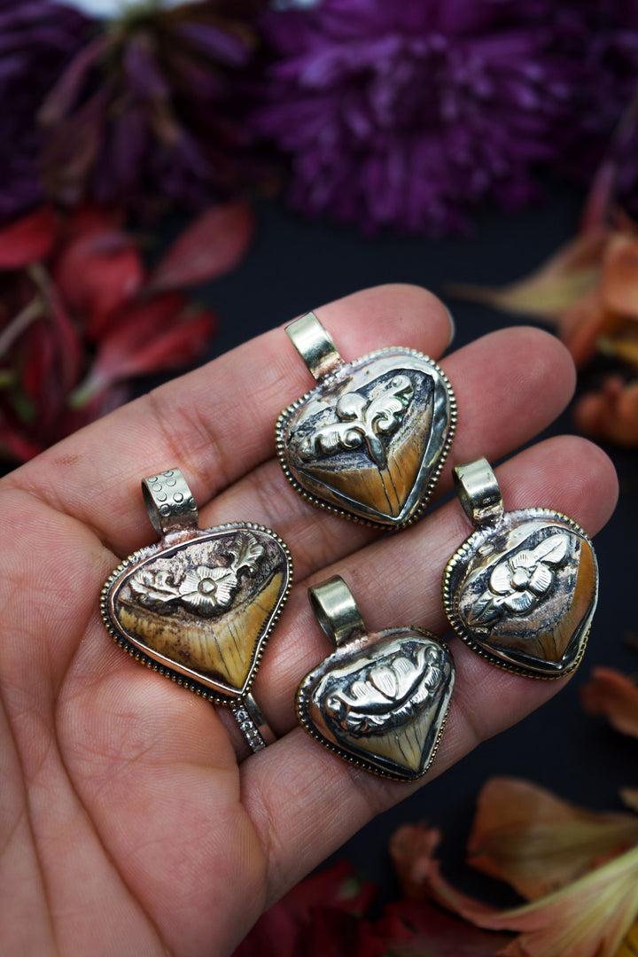 Timeless Shark Tooth Pendant, OOAK, Himalayan Jewelry, Tribal Chic Pendants, Handmade, Gifts