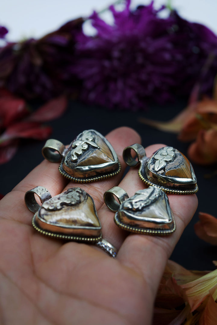 Timeless Shark Tooth Pendant, OOAK, Himalayan Jewelry, Tribal Chic Pendants, Handmade, Gifts