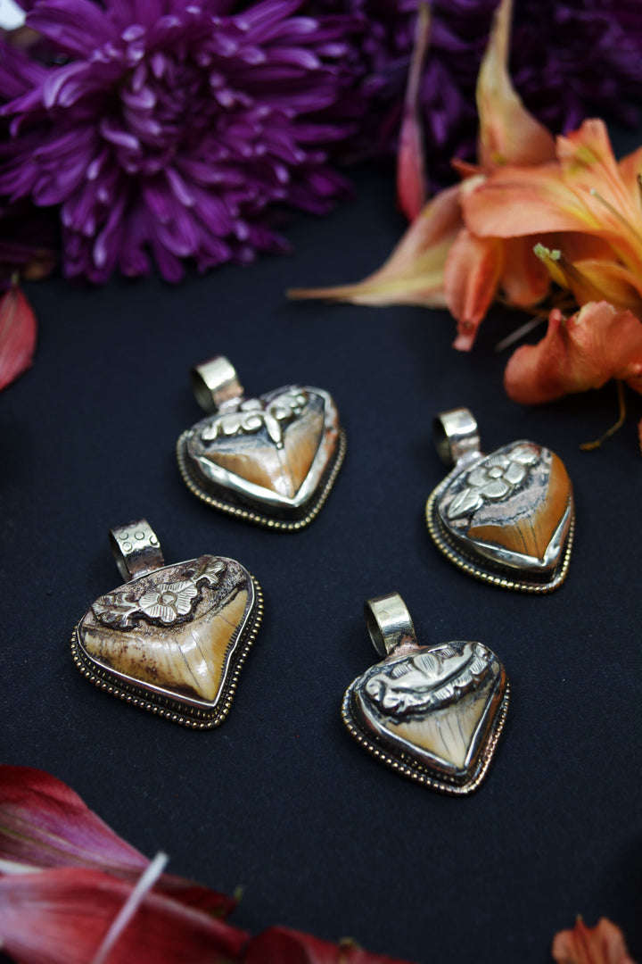Timeless Shark Tooth Pendant, OOAK, Himalayan Jewelry, Tribal Chic Pendants, Handmade, Gifts