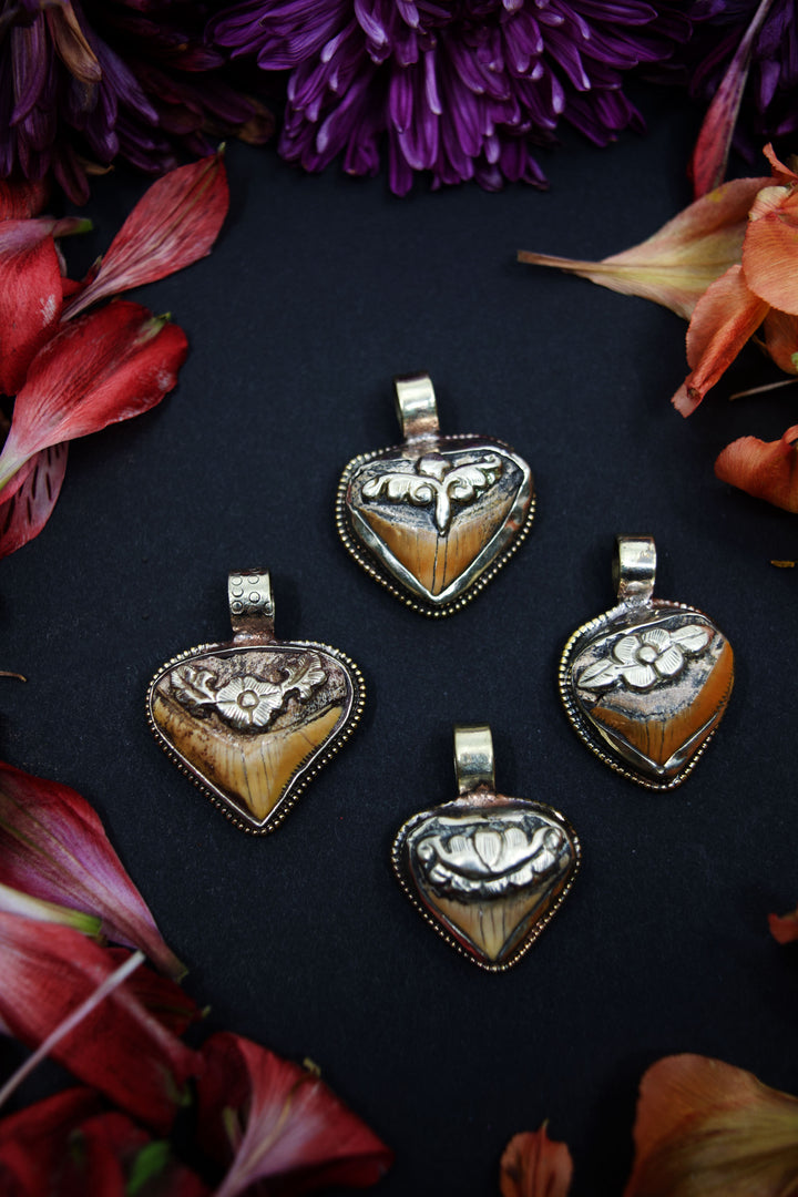 Timeless Shark Tooth Pendant, OOAK, Himalayan Jewelry, Tribal Chic Pendants, Handmade, Gifts
