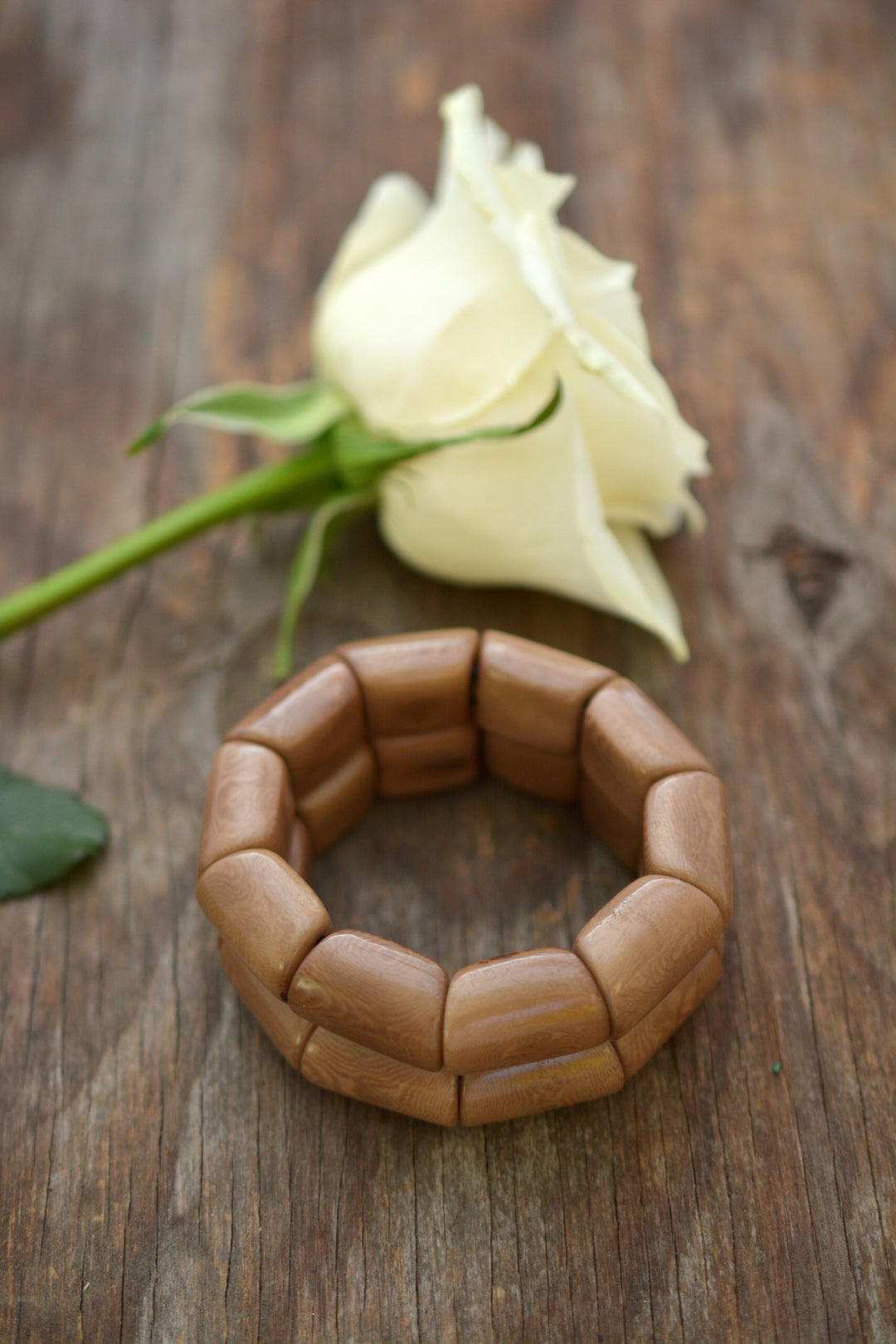 Khaki Brown River Bead Stretch Tagua Bracelet