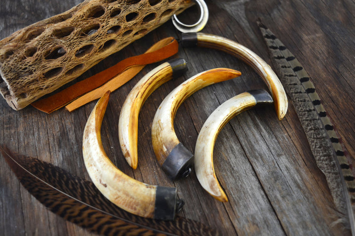 Wild Boar Tusk Bone Pendant with Brass Cap, 4" x 1 pc