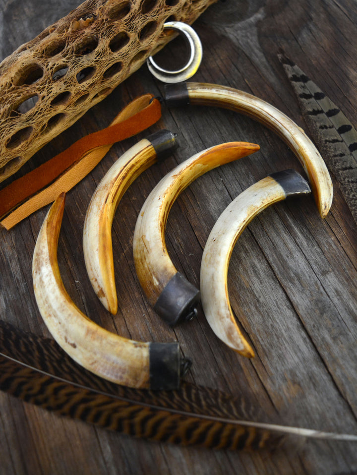 Wild Boar Tusk Bone Pendant with Brass Cap, 4" x 1 pc