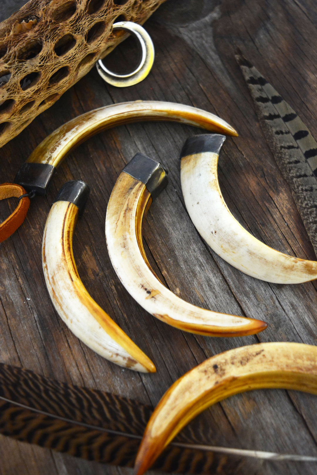 Wild Boar Tusk Bone Pendant with Brass Cap, 4" x 1 pc