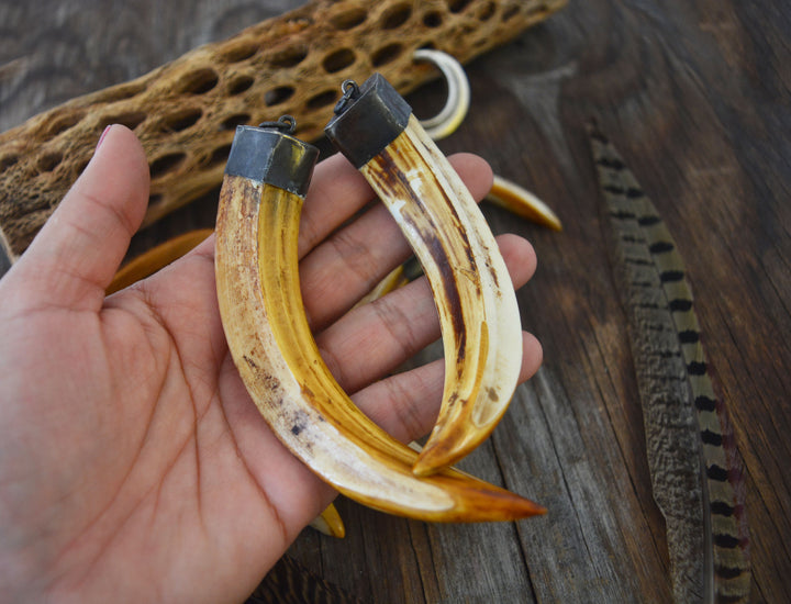 Wild Boar Tusk Bone Pendant with Brass Cap, 4" x 1 pc