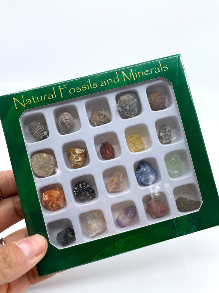 Natural Gemstone, Fossil and Mineral Kit
