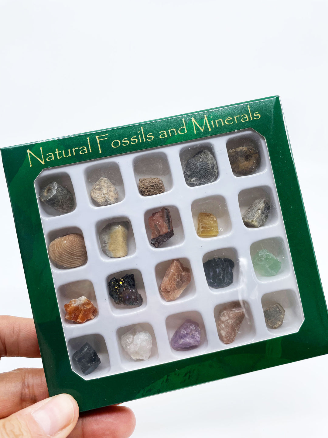 Natural Gemstone, Fossil and Mineral Kit