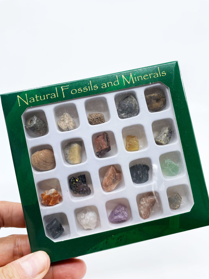 Natural Gemstone, Fossil and Mineral Kit
