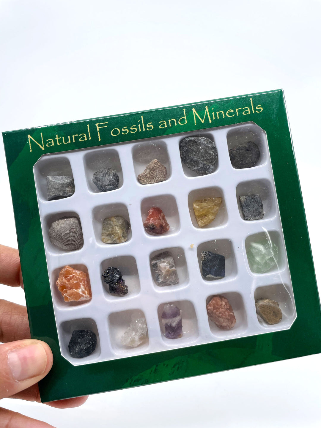 Natural Gemstone, Fossil and Mineral Kit