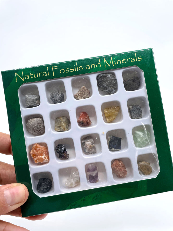 Natural Gemstone, Fossil and Mineral Kit