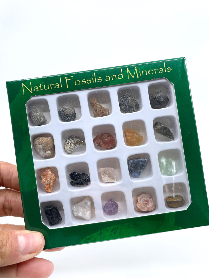 Natural Gemstone, Fossil and Mineral Kit