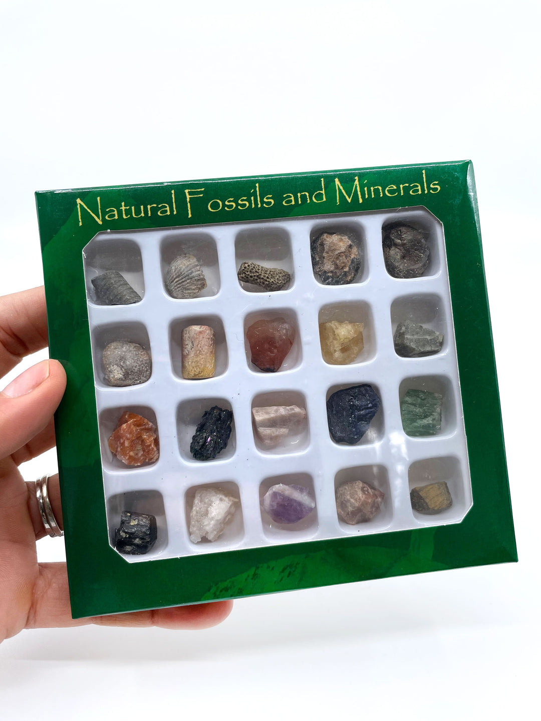 Natural Gemstone, Fossil and Mineral Kit