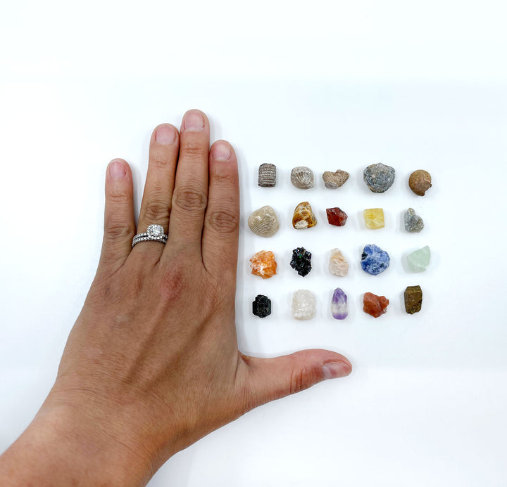 Natural Fossils and Minerals Kit – Assorted Fossil and Crystal Specimens (20 Pieces)