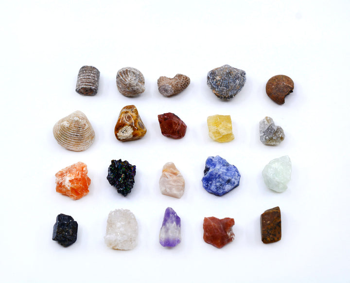 Natural Fossils and Minerals Kit – Assorted Fossil and Crystal Specimens (20 Pieces)